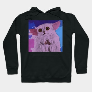 The Meep Hoodie